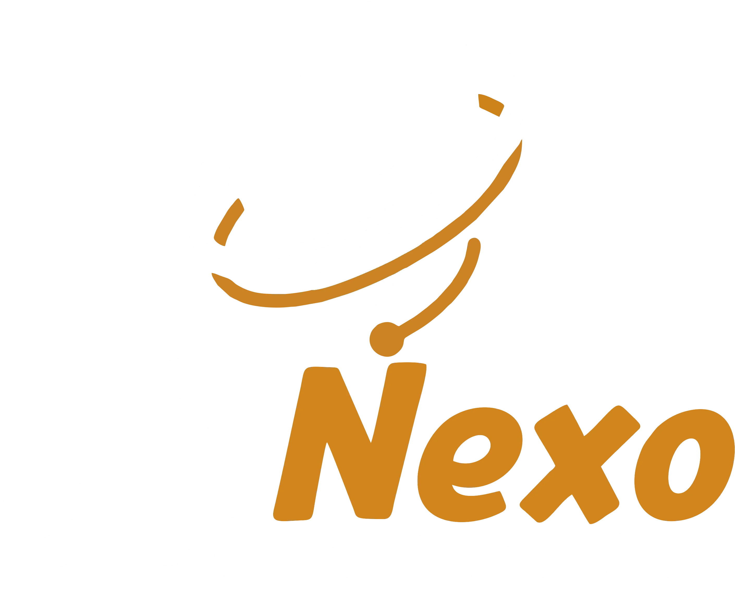 BisNexo Isologo